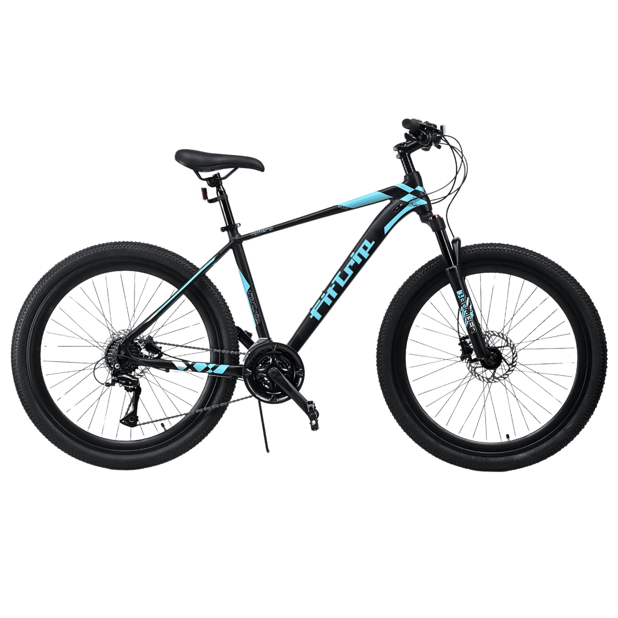 Fittrip fat best sale bike price